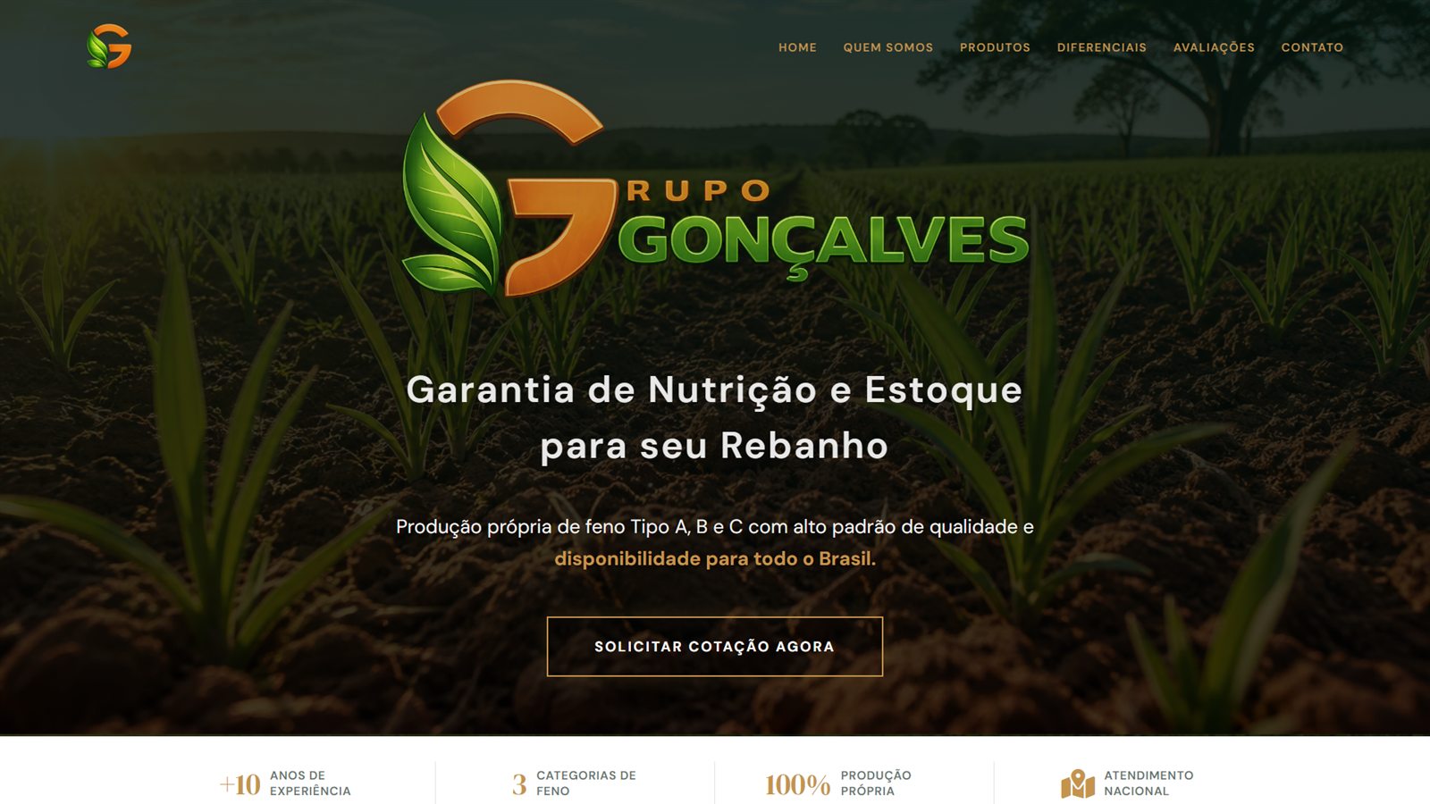 Página inicial do site profissional criado pela NK Digital para o Grupo Gonçalves